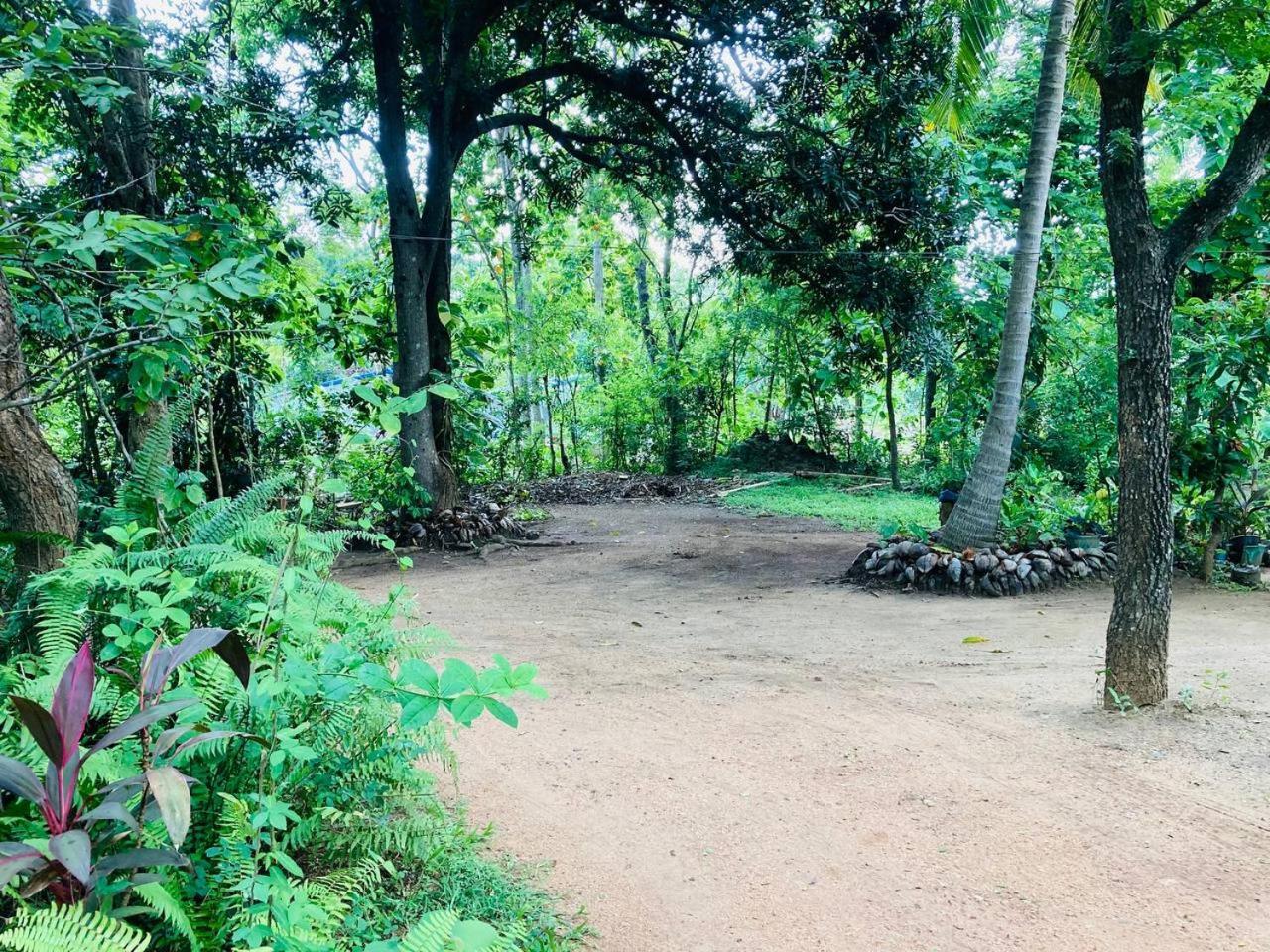 Sigiri Lodge Sigiriya Esterno foto